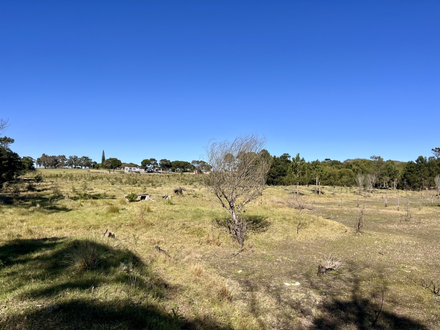 4 Bedroom Property for Sale in Greenbushes Eastern Cape